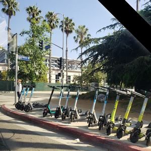 Meet your Posher, Longo